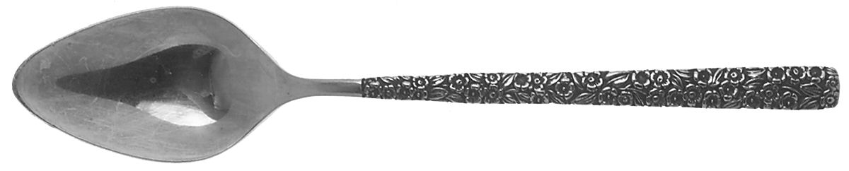 SRB147 (STAINLESS) Teaspoon by Stanley Roberts-1