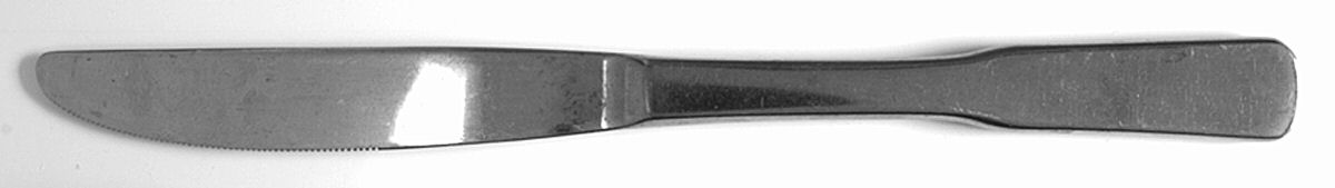 SRB168 (STAINLESS) Modern Solid Knife by Stanley Roberts-1