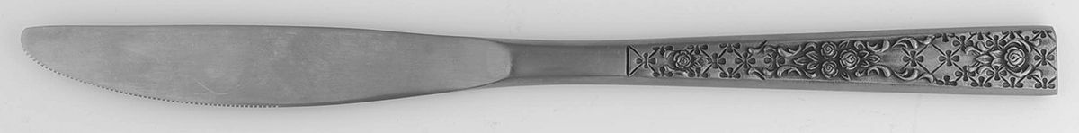 SRB172 (STAINLS) Modern Solid Knife by Stanley Roberts-1