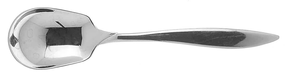 Fiamma (Stainless) Sugar Spoon by Sears Roebuck-1