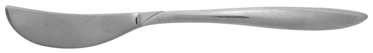 Fiamma (Stainless) Flat Handle Master Butter Knife by Sears Roebuck-1