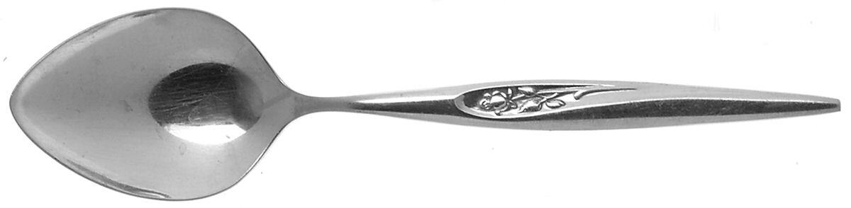 Gentle Rose (Stainless) Place/Oval Soup Spoon by Sears Roebuck-1