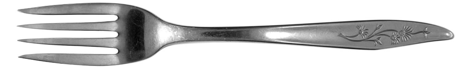 Misty Isle (Stainless) Fork by Sears Roebuck-1