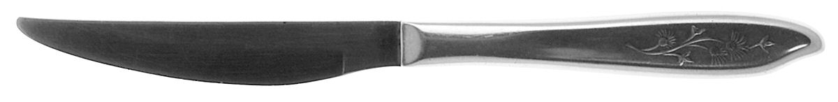 Misty Isle (Stainless) Individual Steak Knife w/Bevel Blade by Sears Roebuck-1