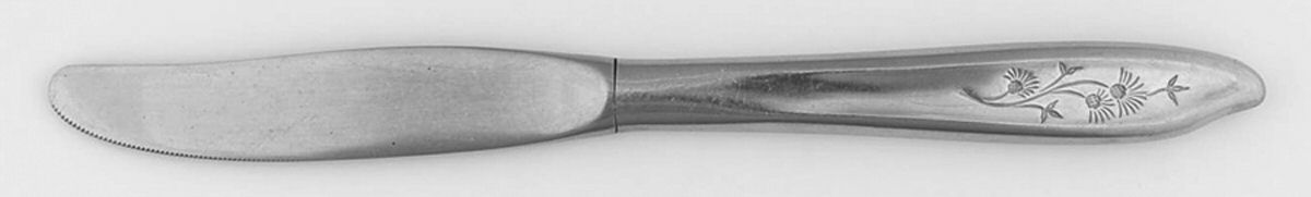 Misty Isle (Stainless) Modern Hollow Knife by Sears Roebuck-1