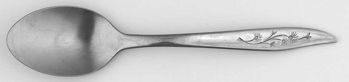 Misty Isle (Stainless) Teaspoon by Sears Roebuck-1