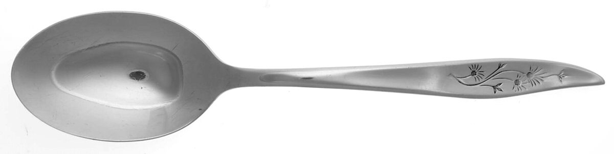 Misty Isle (Stainless) Tablespoon (Serving Spoon) by Sears Roebuck-1