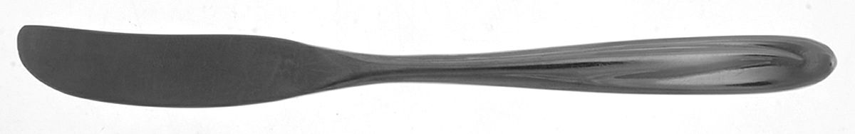 Montego (Stainless) Flat Handle Butter Spreader by Sears Roebuck-1