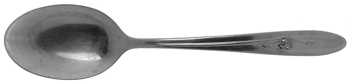 Provincial Rose (Stainless) Tablespoon (Serving Spoon) by Sears Roebuck-1