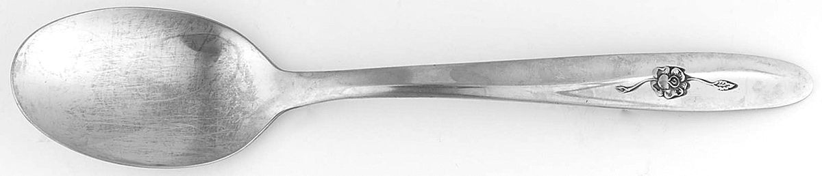 Provincial Rose (Stainless) Place/Oval Soup Spoon by Sears Roebuck-1