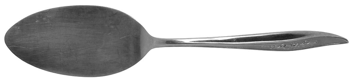 Rose Texture (Stainless) All Stainless Pie Server by Sears Roebuck-1