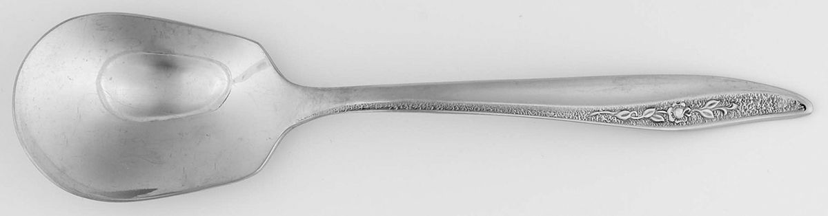 Rose Texture (Stainless) Sugar Spoon by Sears Roebuck-1