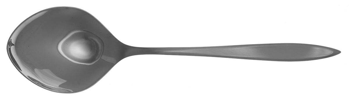 SRS14 (Stainless) Tablespoon (Serving Spoon) by Sears Roebuck-1