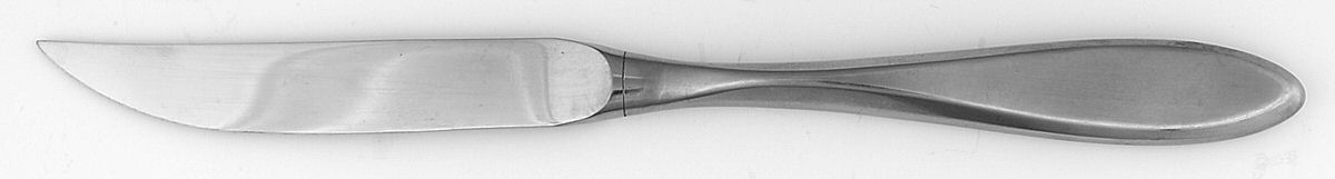 Stylus (Stainless) Individual Steak Knife Hollow Handle by Sears Roebuck-1
