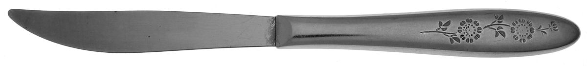 Wood Dale (Stainless) Individual Steak Knife Hollow Handle by Sears Roebuck-1