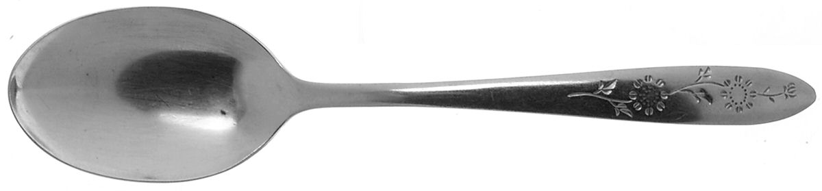 Wood Dale (Stainless) Tablespoon (Serving Spoon) by Sears Roebuck-1