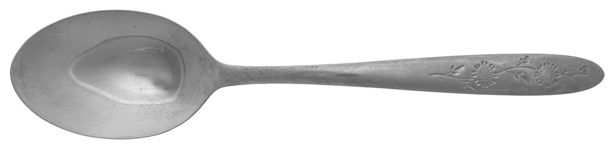 Wood Dale (Stainless) Place/Oval Soup Spoon by Sears Roebuck-1