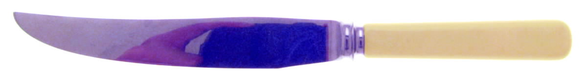 Produx (Stainless) Individual Steak Knife Hollow Handle by Sheffield Steel-1