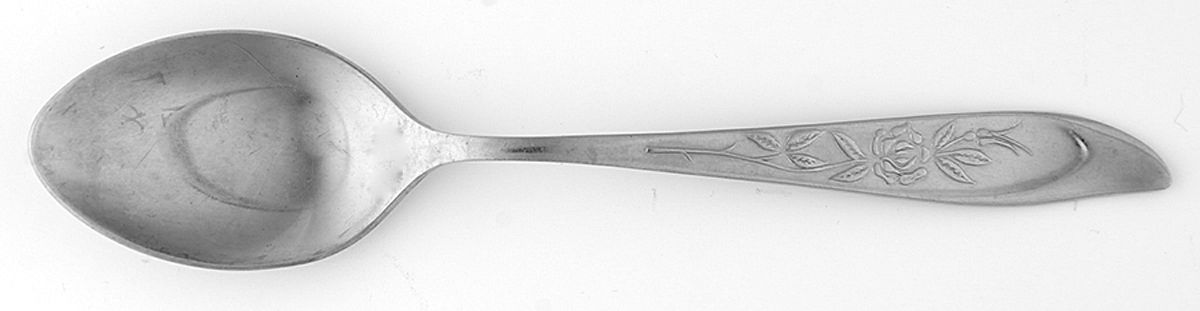 SST1 (STAINLESS) Teaspoon by Silhouette-1