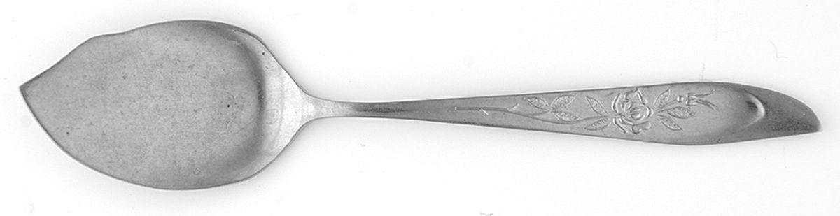 SST1 (STAINLESS) Large Solid Jelly Server by Silhouette-1