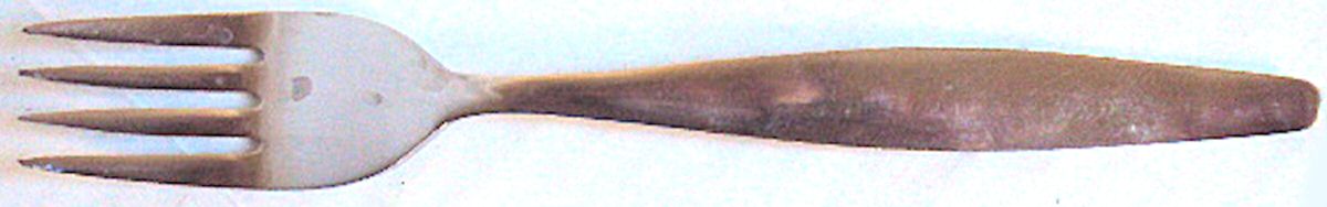 SWS1 (Stainless) Fork by Swords-1