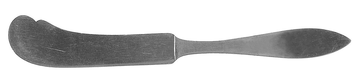 Buckingham (Sterling) Flat Handle Butter Spreader by Shreve Silver-1