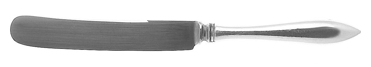 Buckingham (Sterling) Old French Hollow Knife with Bolster by Shreve Silver-1