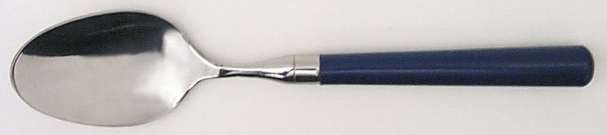 Spectrum-Navy Blue Place/Oval Soup Spoon by Stanley Roberts-1