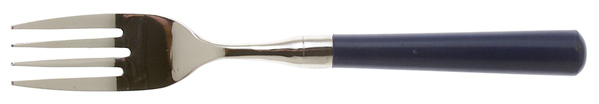 Spectrum-Navy Blue Individual Salad Fork by Stanley Roberts-1