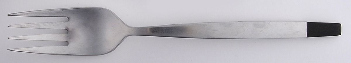 Vision (Stainless) Individual Salad Fork by Stanley Roberts-1