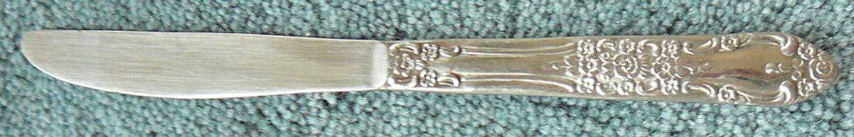 SNF4 Modern Solid Knife by Sango-1