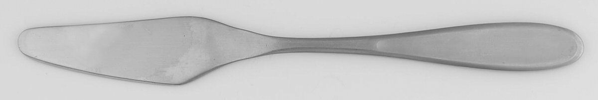 Danica (Stainless) Flat Handle Master Butter Knife by Splendide-1