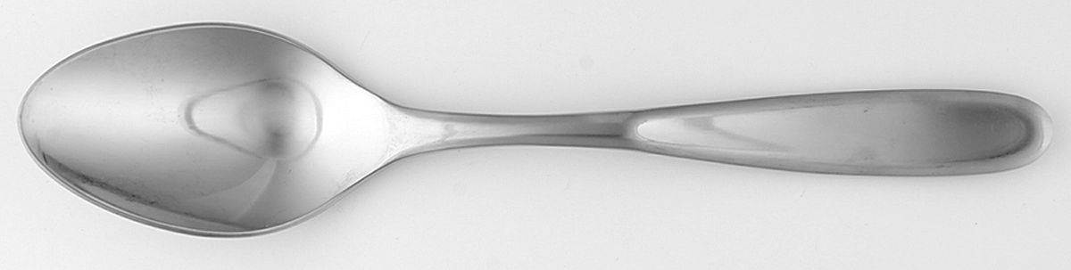 Danica (Stainless) Solid Serving Spoon by Splendide-1