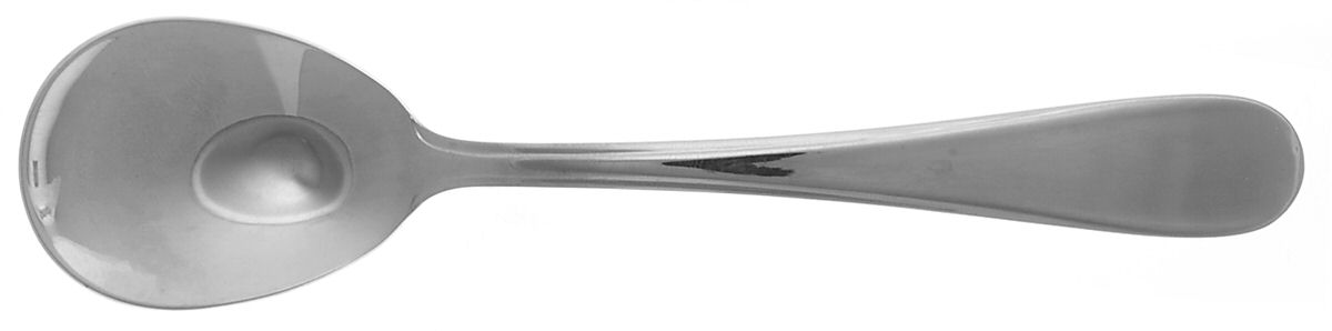 California (Stainless) Sugar Spoon by Splendide-1