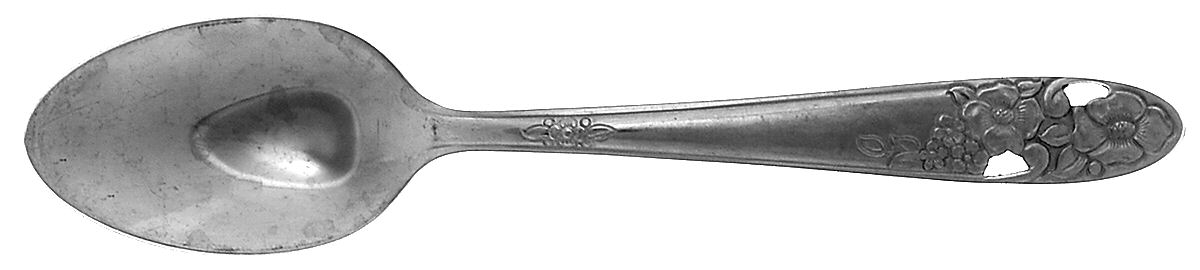 Maytime (Stainless) Teaspoon by Saladmaster-1