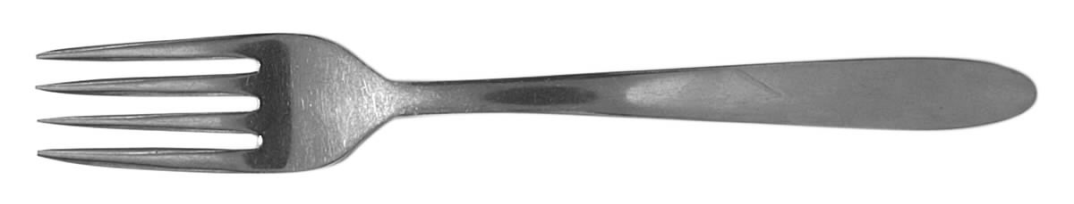 SWS2 (STAINLESS) Fork by Swords-1