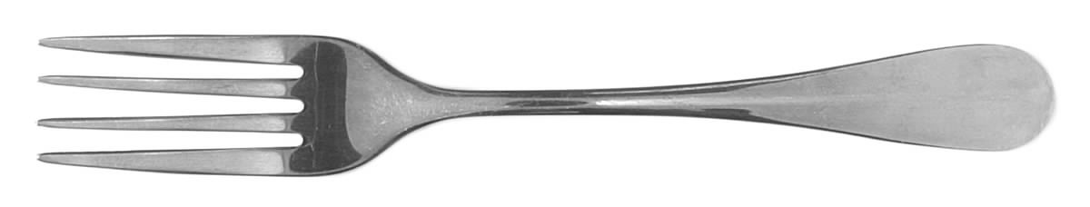 SRB208 (Stainless) Fork by Stanley Roberts-1