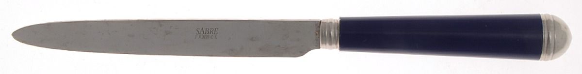 SAE1 (STAINLESS) New French Hollow Knife by Sabre-1