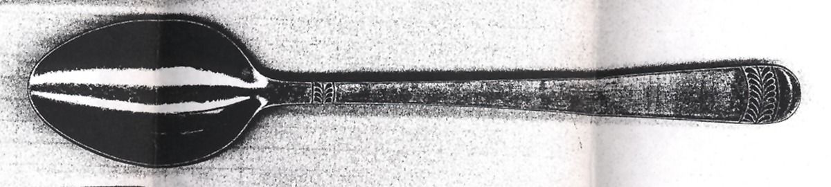 SRB229 (STAINLESS) Teaspoon by Stanley Roberts-1