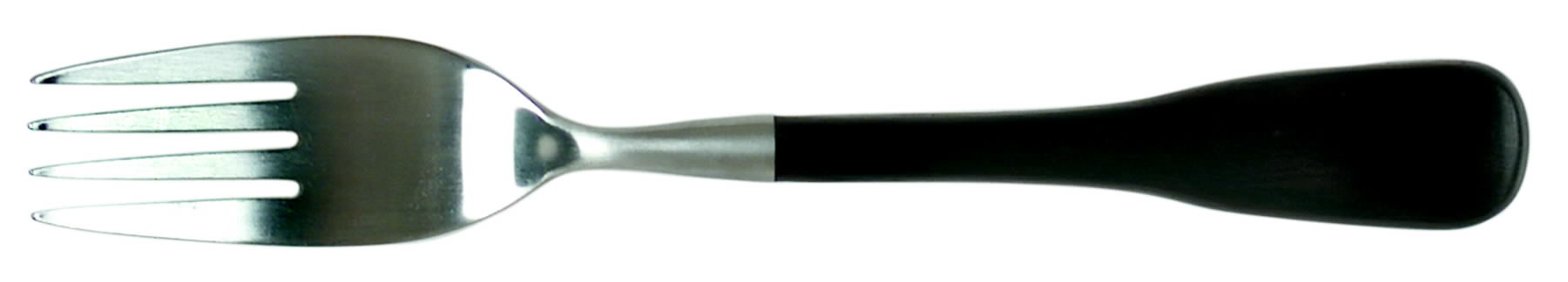 SRB235 (STAINLESS) Fork by Stanley Roberts-1