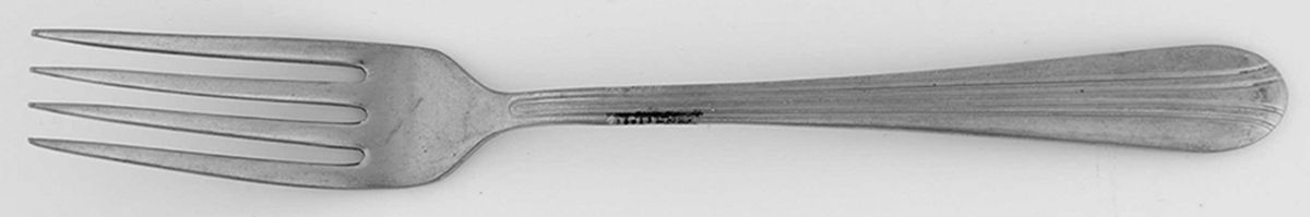Glo-Tone (Stainless) Fork by Servet-1
