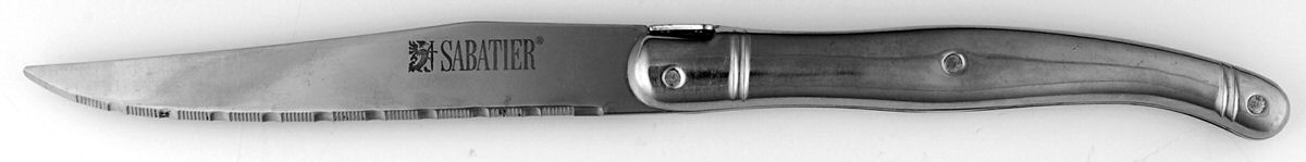 Laguiole (Stainless) Individual Steak Knife Hollow Handle by Sabatier-1