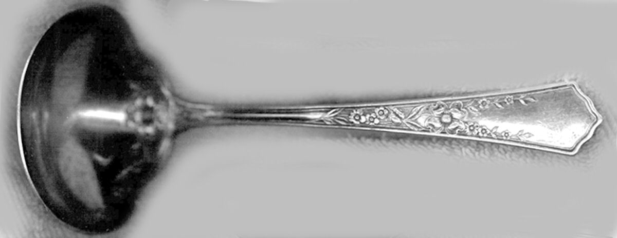 Dunbar (Silverplate) Solid Gravy Ladle by Sears Roebuck-1