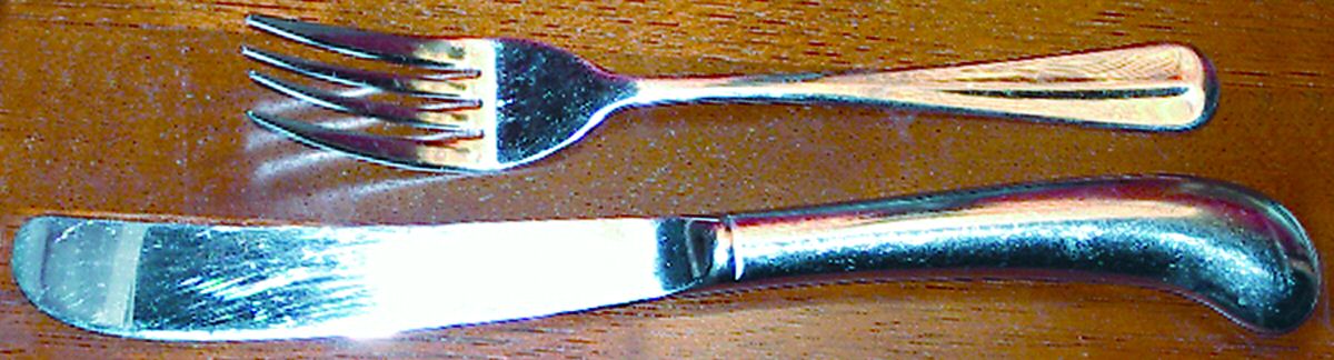 SPL7 (Stainless) Individual Salad Fork by Splendide-1