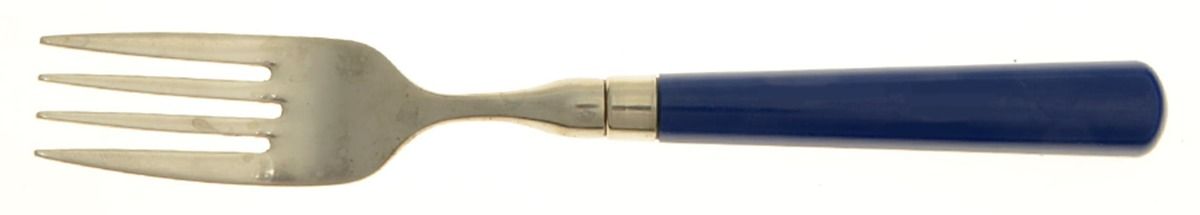 Spectrum-Cobalt Blue Individual Salad Fork by Stanley Roberts-1