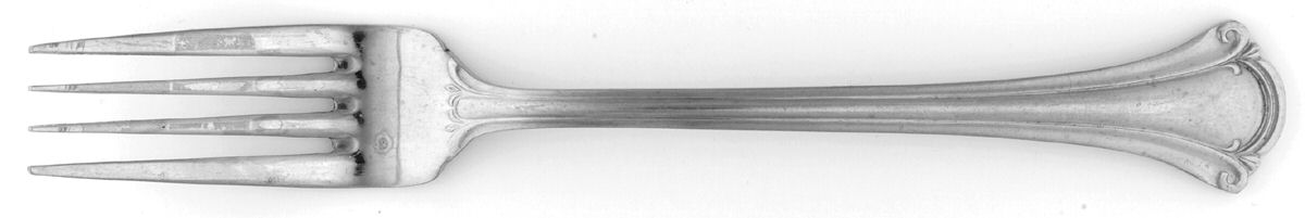 SEO8 (Stainless) Fork by Serco-1