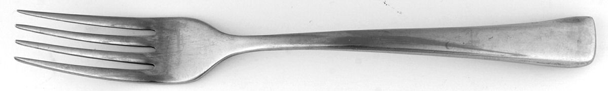 Imagine (Silverplate on 18-10 Stainless) Fork by Sambonet-1