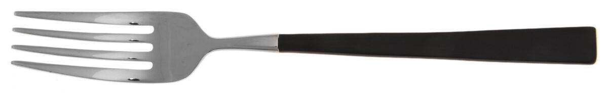 Linea Q Noir (Stainless) Fork by Sambonet-1