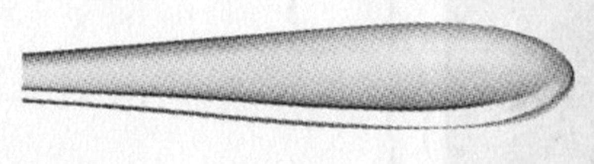 Dream (Stainless, 18-10) Fork by Sambonet-1