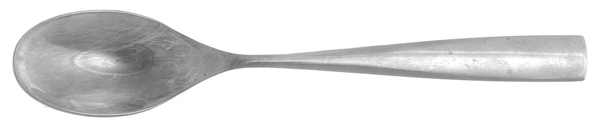 Cassia (Stainless) Teaspoon by Studio William-1